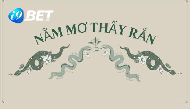 Giải mã ngủ mơ thấy rắn nên đánh lô gì để thắng lớn 1 Giải mã ngủ mơ thấy rắn nên đánh lô gì để thắng lớn